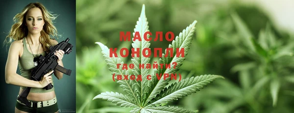 индика Нея