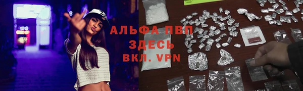 индика Нея