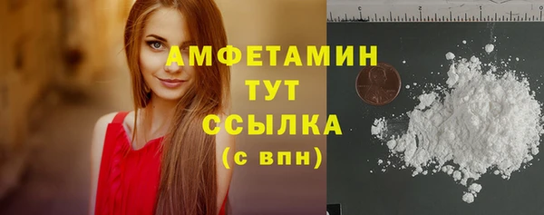 индика Нея