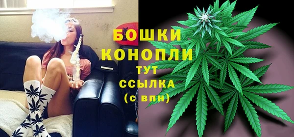 стафф Анжеро-Судженск