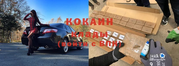 индика Нея