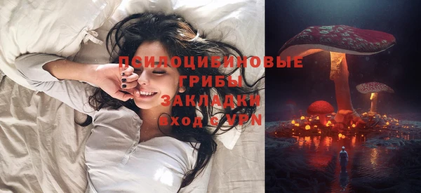 винт Анива