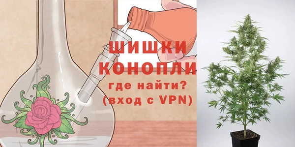 стафф Анжеро-Судженск