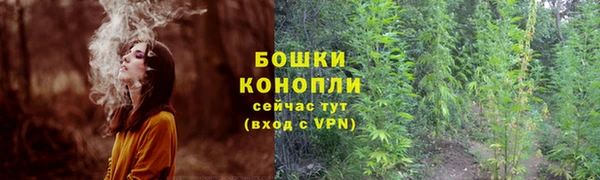 дживик Нефтекумск