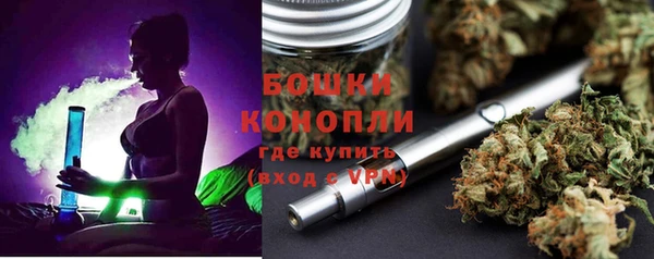 дживик Нефтекумск